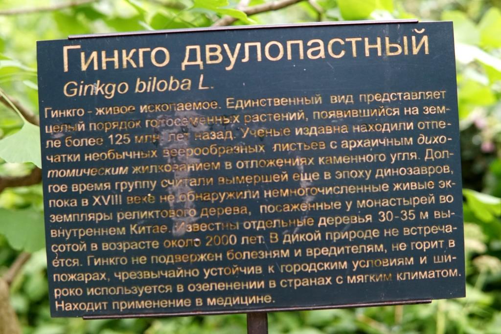 Аптекарский огород МГУ, Москва