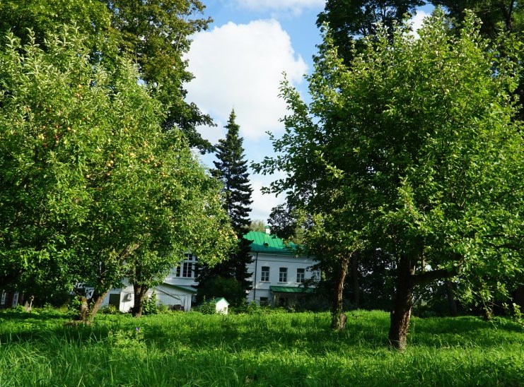 Ясная Поляна, дом Л.Н.Толстого, яблоневый сад